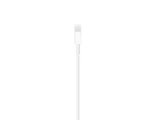 Apple Lightening to USB Cable Size