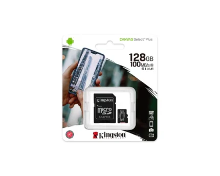 Kingston Micro SD
